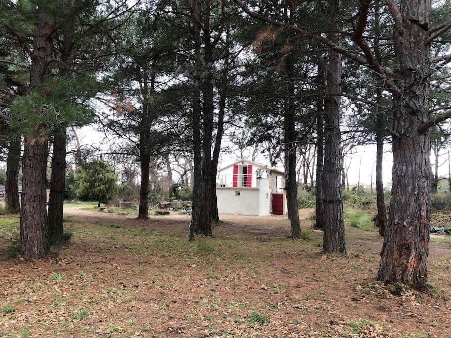 Le Cabanon De Vally Caromb Esterno foto